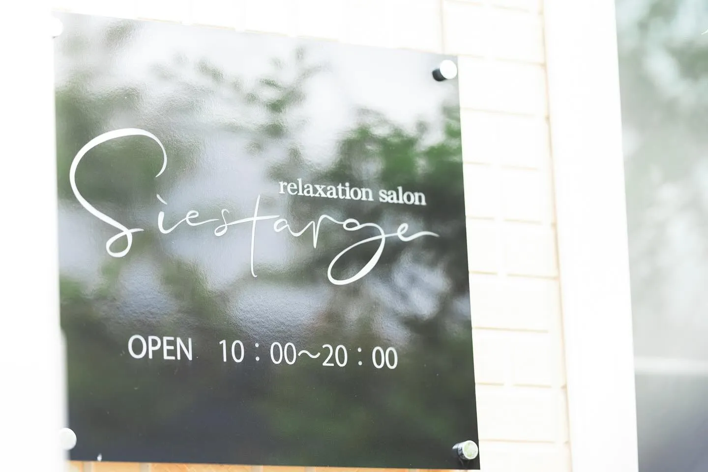 🍀Siestarge 1周年記念!皆さまへの感謝を込めて🍀